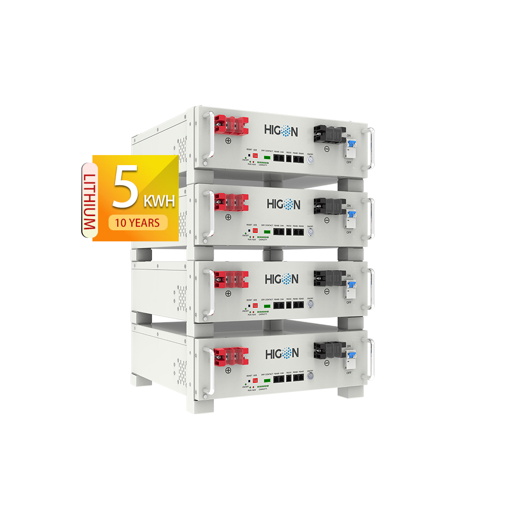 Higon Niederspannungs-5-kWh-51,2-V-100-Ah-Modul-LiFePO4-Lithiumbatterie